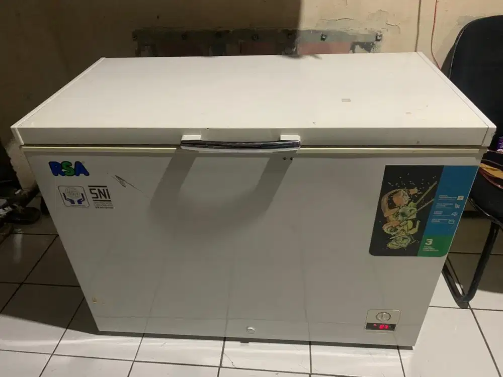 freezer box RSA 310L