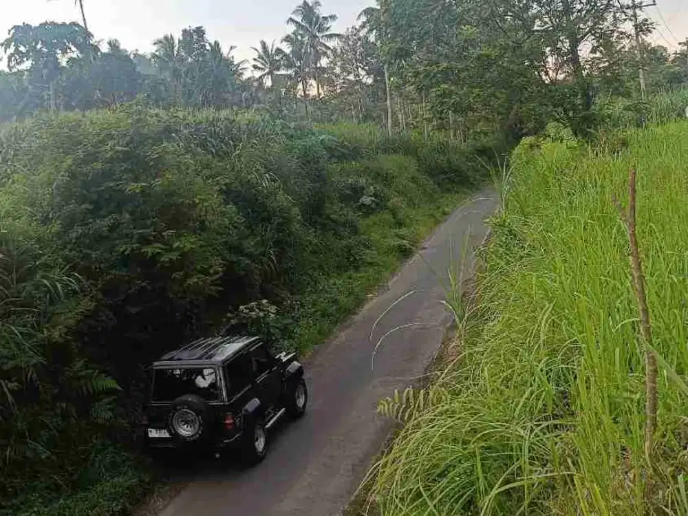 Tanah Poros Aspal Gunungronggo Tajinan Malang