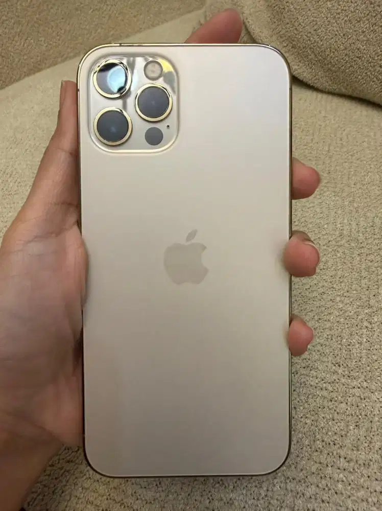IPHONE 12 PRO GOLD 256GB NO MINUS (inter)