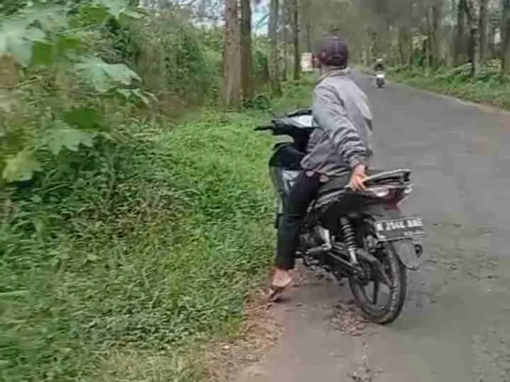 Kebun Jeruk Aspal Poncokusumo Malang