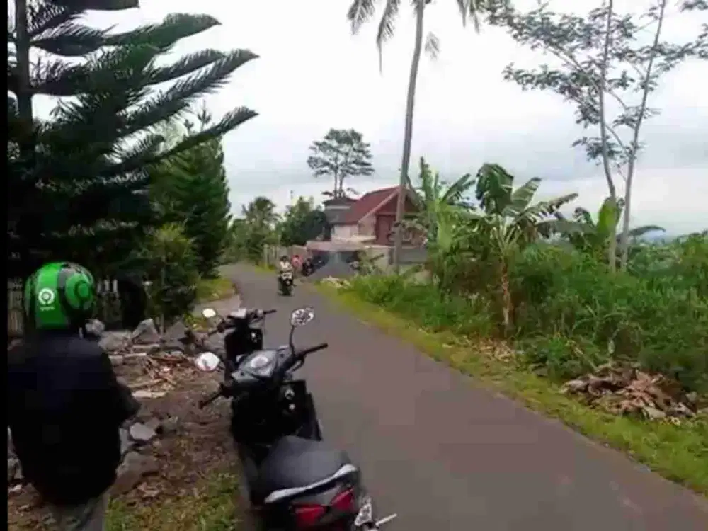 Kebun Buah Poros Aspal Jabung Malang