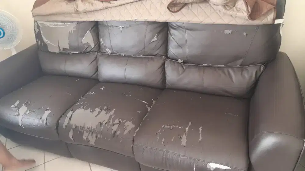 Sofa bekas 3+1 beli tahun 2024