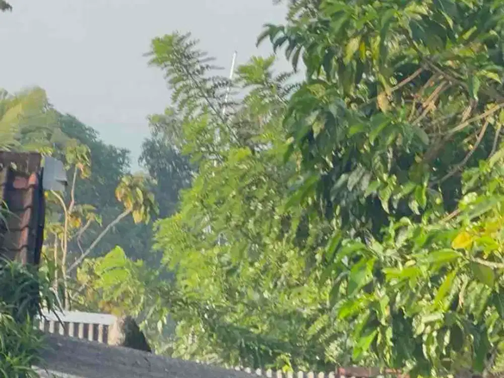 Tanah ocean view dijual