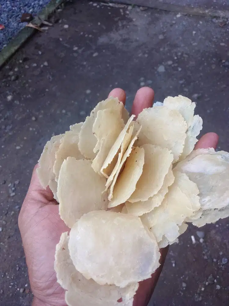 camilan emping mlinjo 100% bahan buah mlinjo