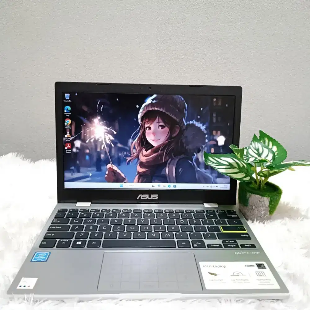 LAPTOP ASUS E210MA INTEL N4020 RAM4GB SSD256GB 12INCH PUTIH