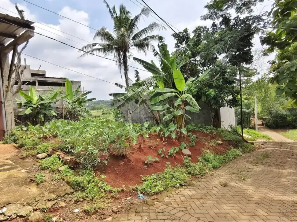 Tanah Ring 1 UNNES cocok untuk usaha kos