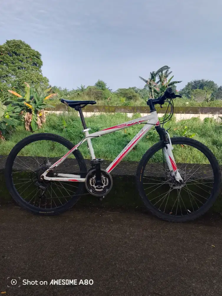MTB Wimcycle R26 Doble disc