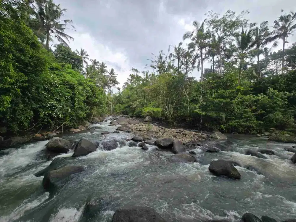 jual tanah murah lokasi tabanan.lt 54 are harga 45jt/ are