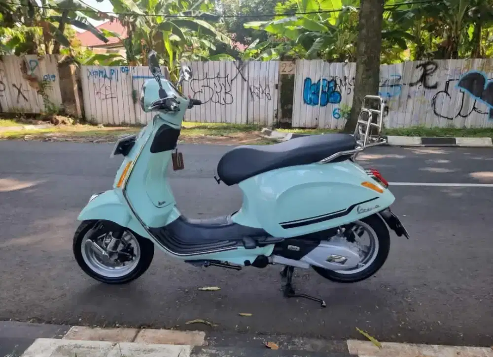 Vespa primavera 2024