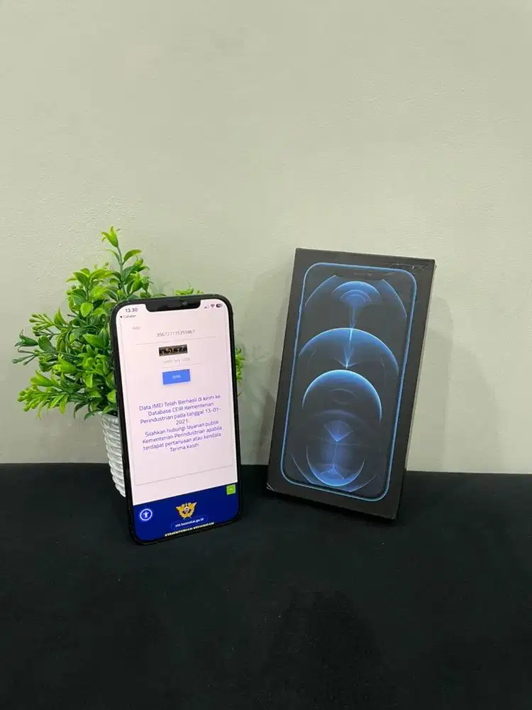 IPhone 12 ProMax 512GB Pacific Blue mulus Fullset BH 100% Bea Cukai