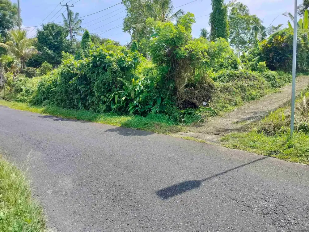 jual tanah murah penebel.18 are harga 80/ are