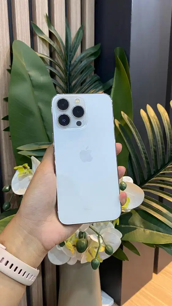 13 pro 128gb sec resmi