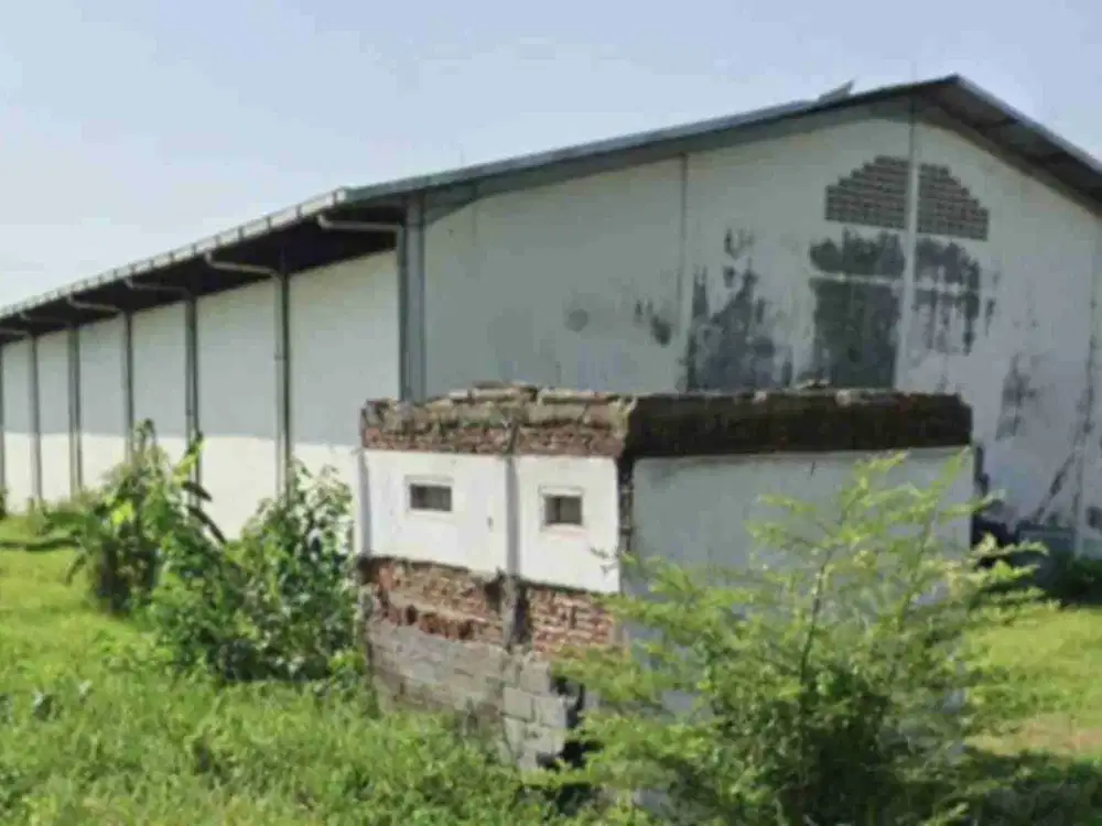 Gudang di Kejayan Pasuruan