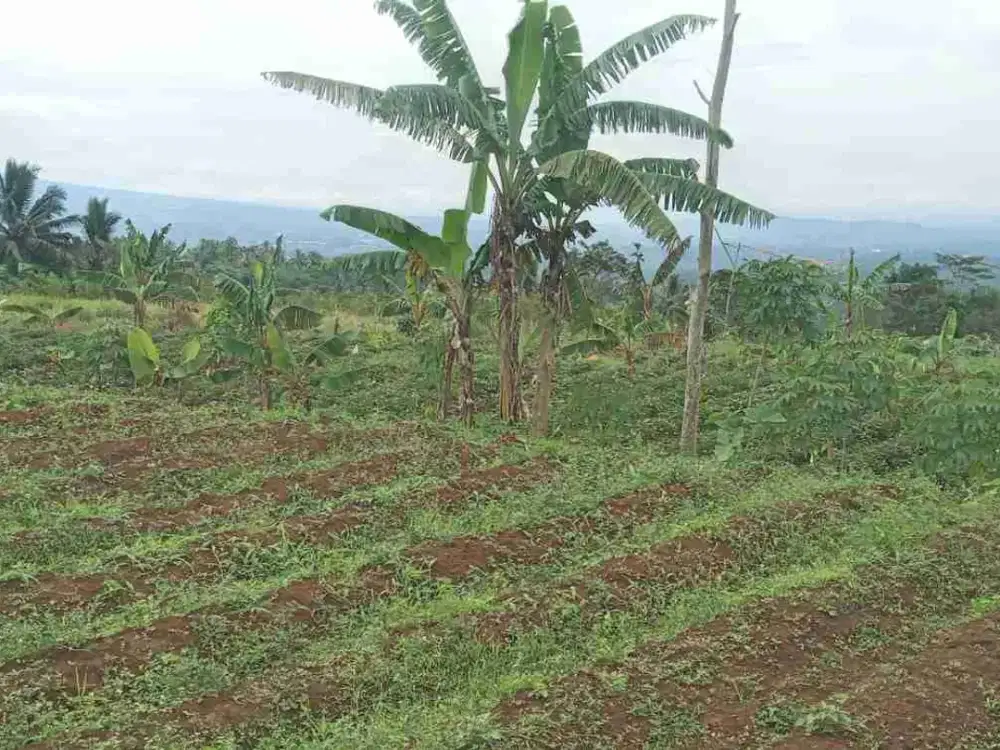 di jual tanah kebun subur akses mobil di Parakan salak Sukabumi