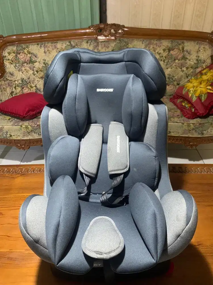 Carseat Babydoes Driver
