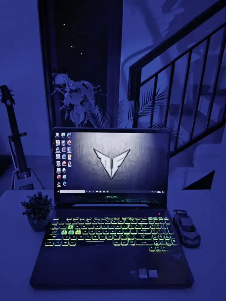 ASUS TUF FX505DD-317 [RAM 16GB/SSD 512GB]