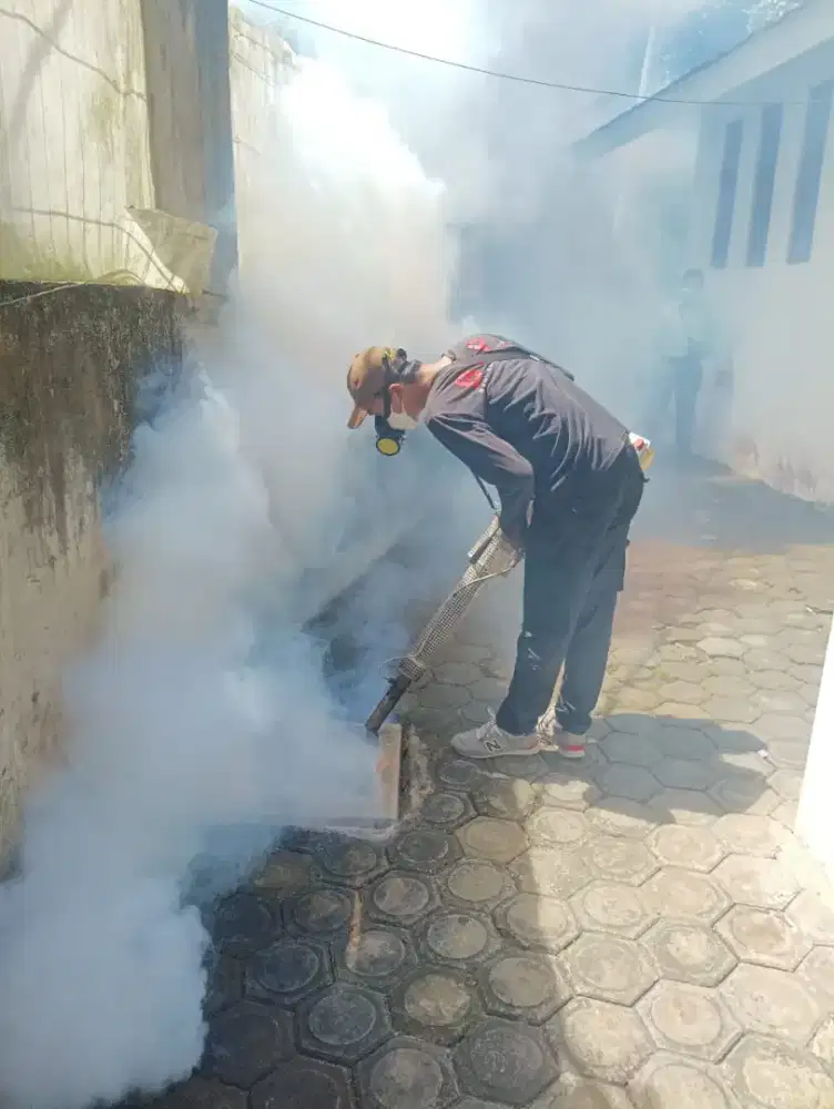 Jasa Fogging Nyamuk