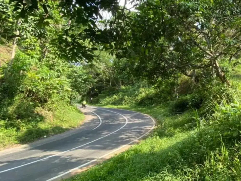 raya kasembon malang