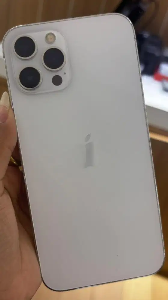 IPhone 12 Promax 256GB Resmi