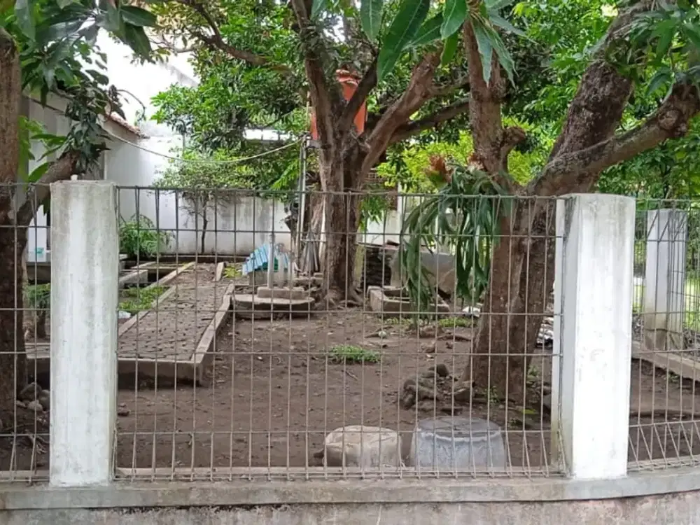 HARGA DIBAWAH NJOP*BANTING HARGA EDISI BU KERAS*JUAL CEPAT RUMAH LUAS DI KLAYAN CIREBON