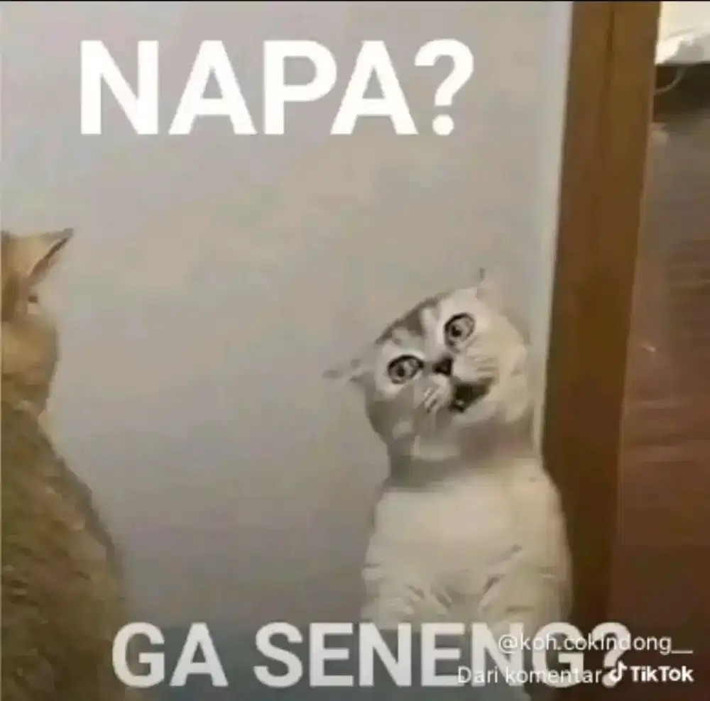 Cari kerja tinggal dalam