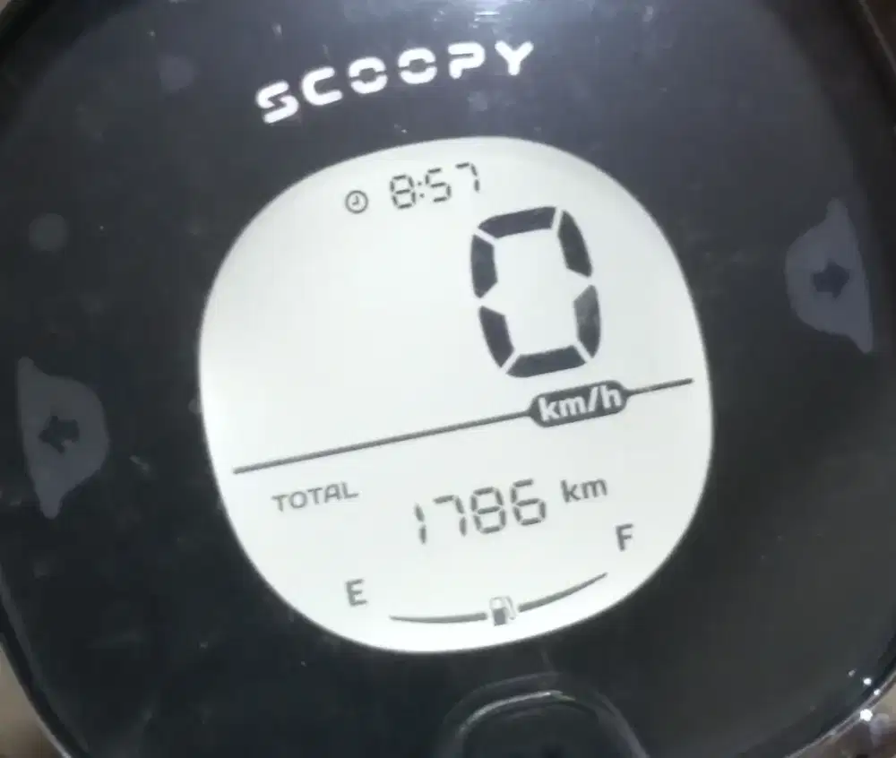 Siapa cepat aja kondisi istimewah