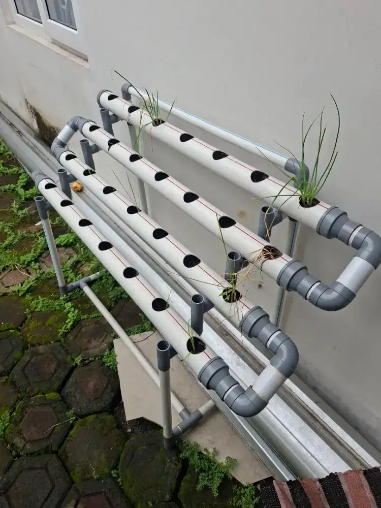 Media Tanam hidroponik