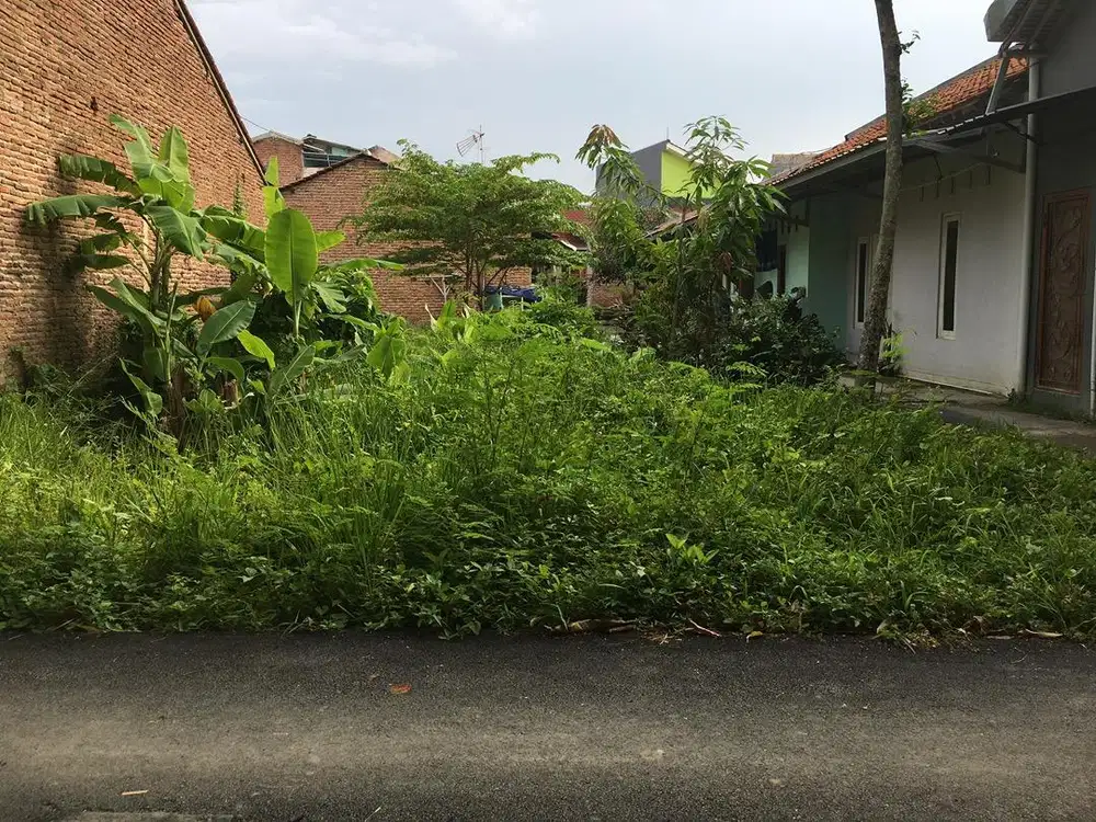 NEGO - Dijual Tanah 8x26,5 m Tegal Tanpa Perantara
