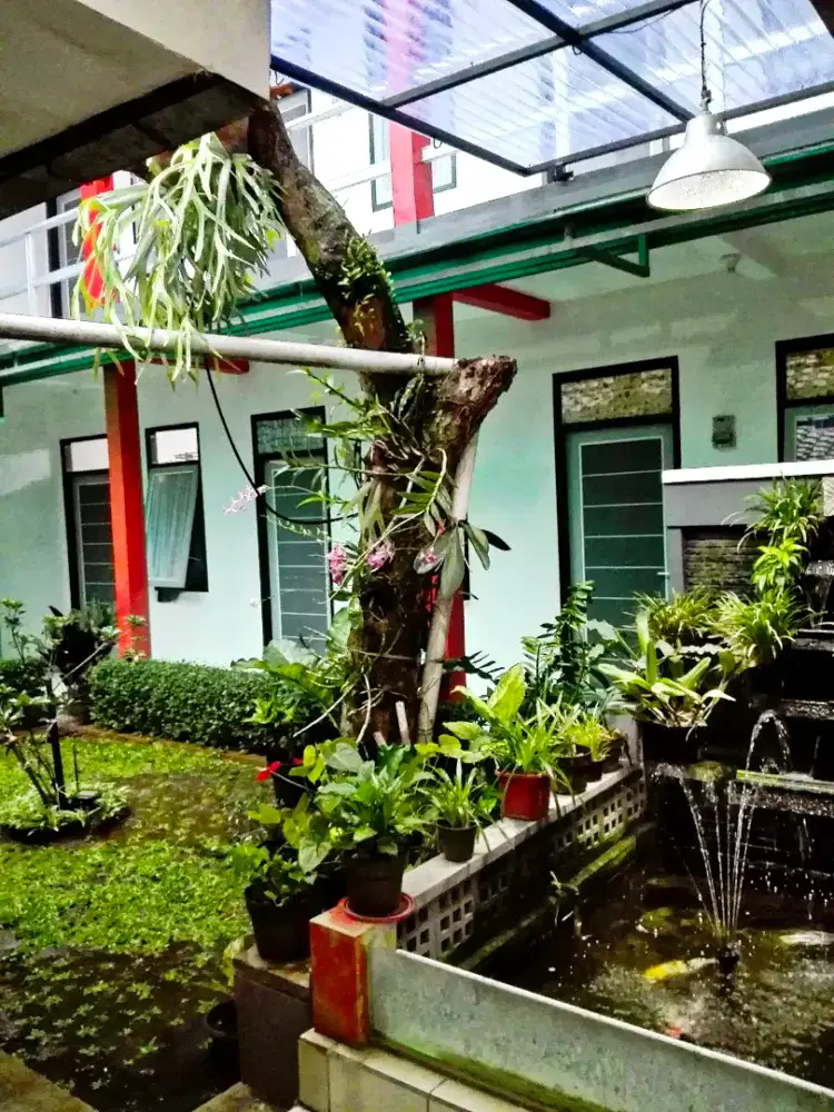 KOST PASTEUR - SUKAJADI