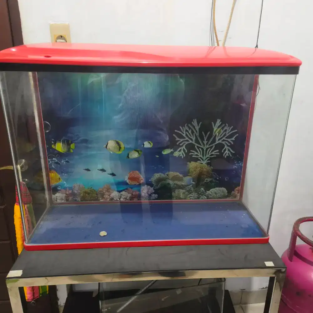 Aquarium sobo merah