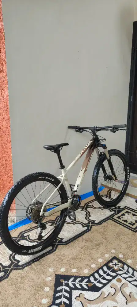 POLYGON XTRADA 6 2021