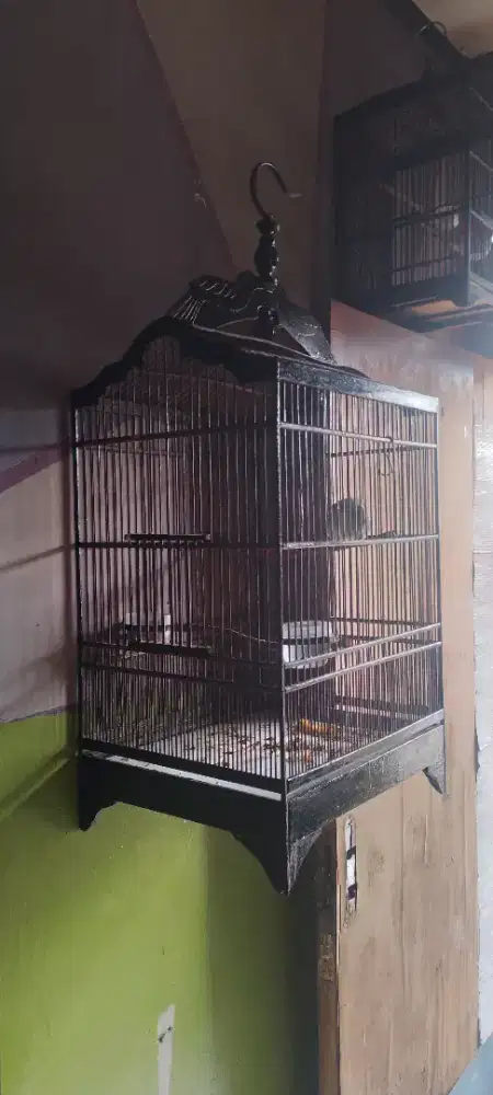 Sangkar No 3 kokoh