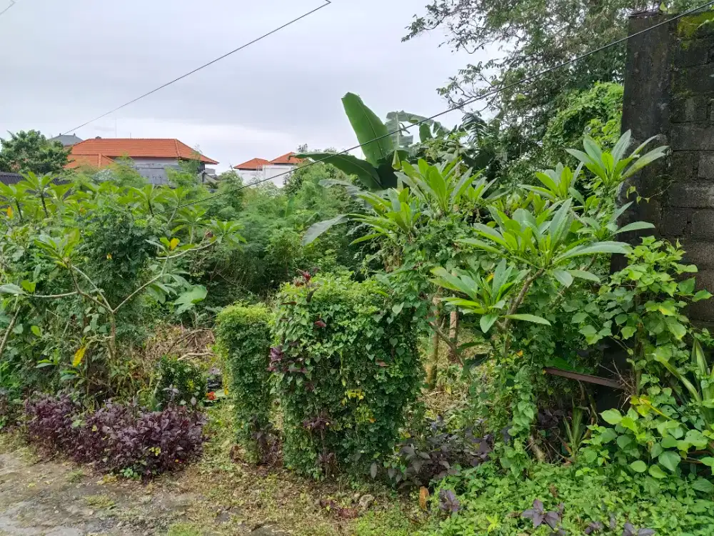 Di Jual Tanah Langka