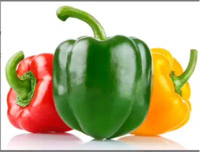 DIBUTUHKAN SEGERA ADMIN , KURIR , TUKANG POTONG DAGING