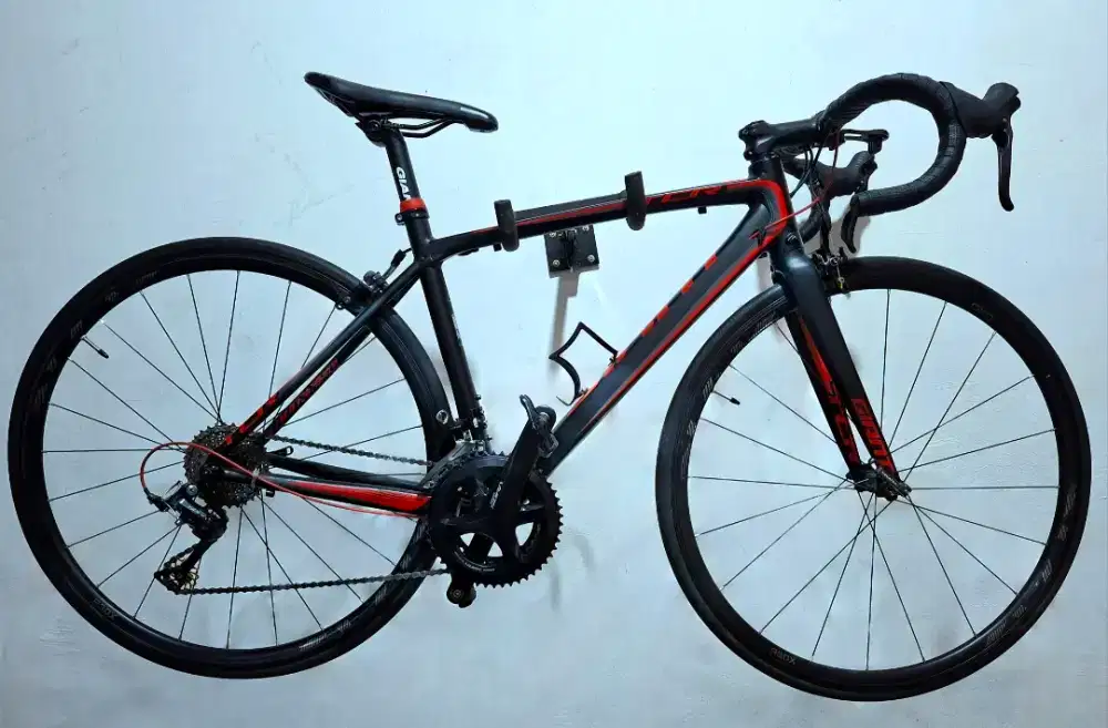Sepeda roadbike Giant tcr
