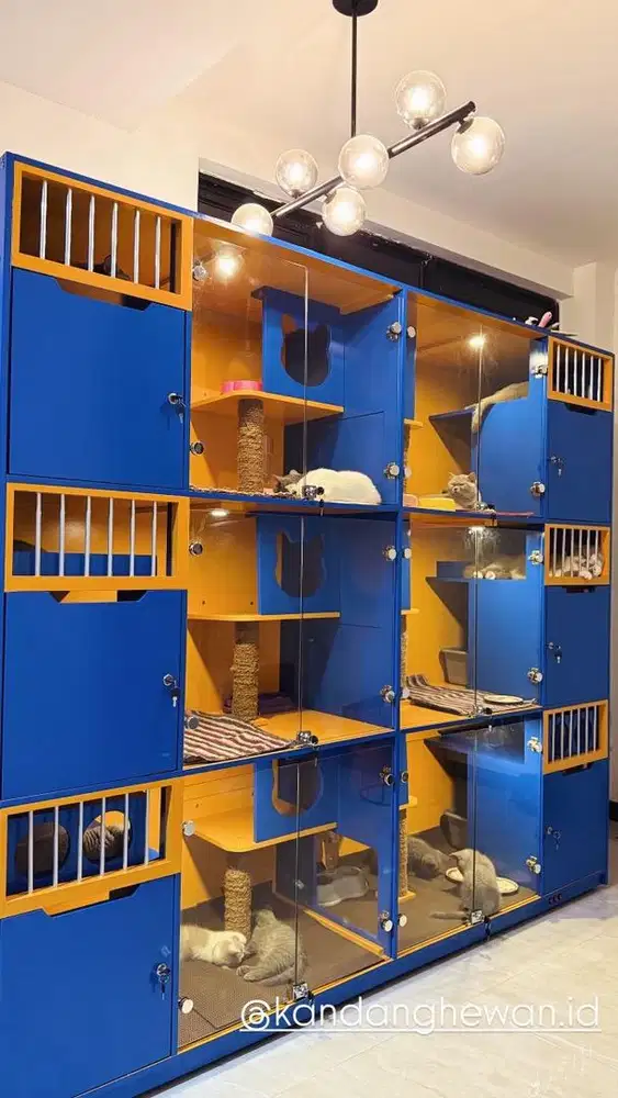 Kandang kucing seperti baru