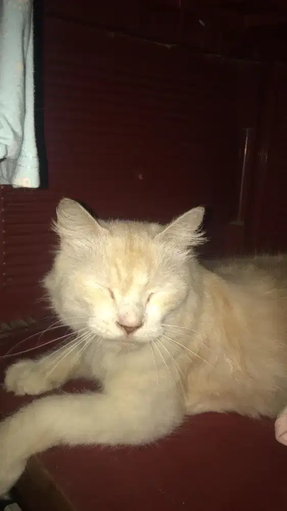 Cari pekerjaan apa aja asal halal