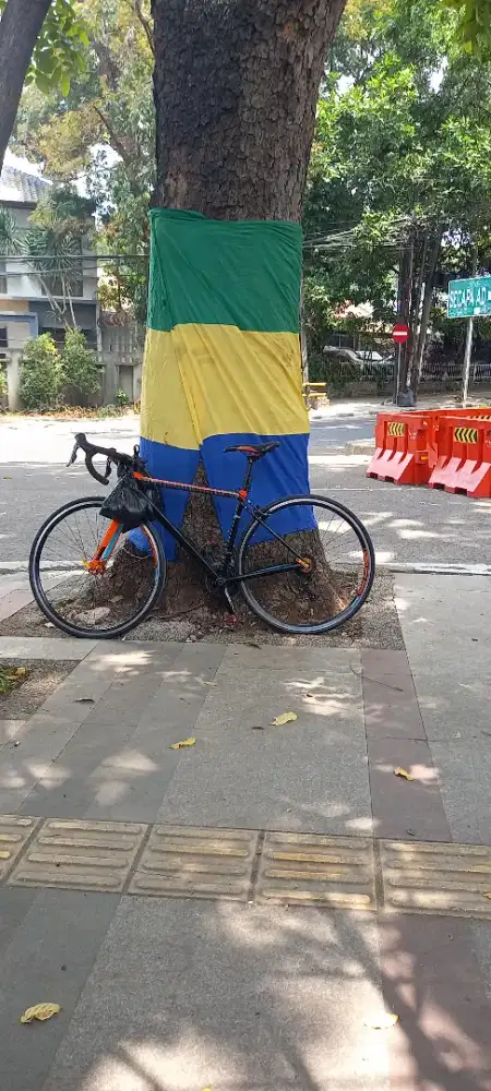 Polygon S 2 ROADBIKE