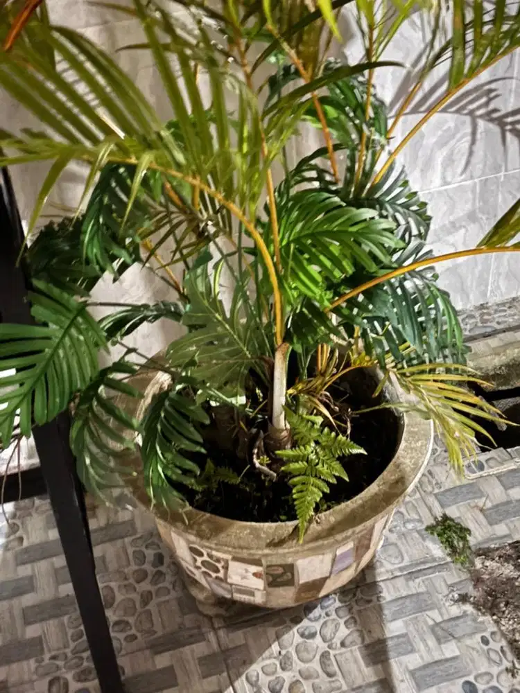 Pot bunga keramik jumbo