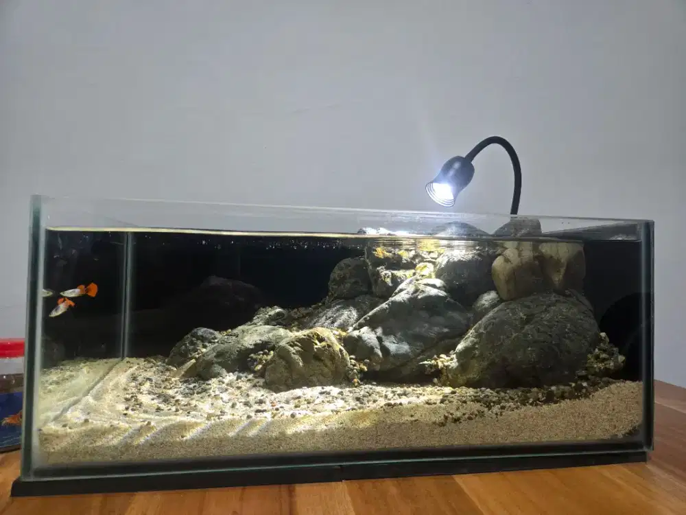 Aquariuam Aquascape Batu