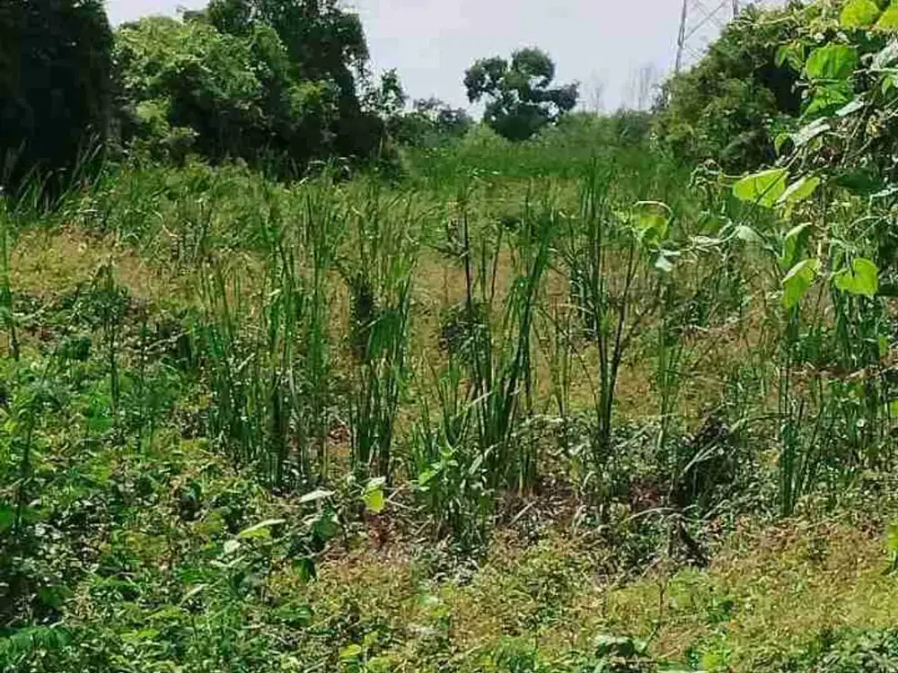 DI JUAL TANAH DARAT PINGIR JALAN DI KOTA BEKASI