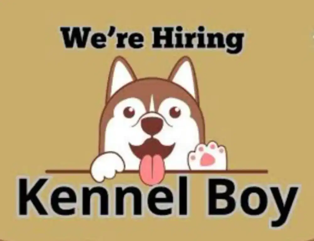 Kenel boy/pengasuh anjing