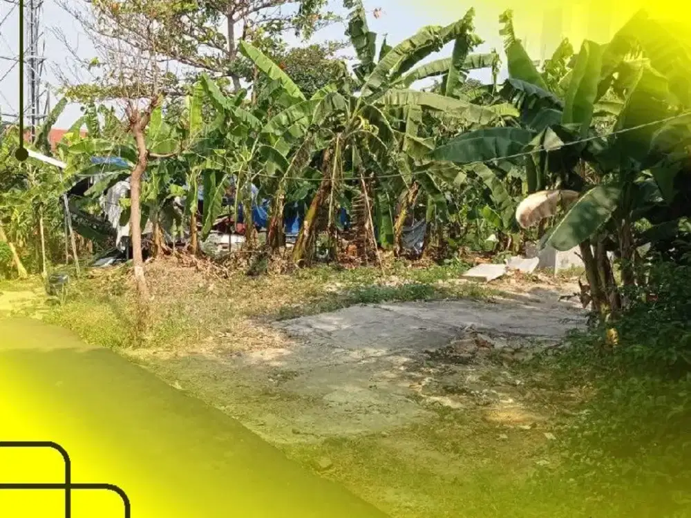 [Best] Jual Tanah Dijual MURAH Cocok Untuk Kost Kosan dekat Pintu Vokasi UI Beji Depok