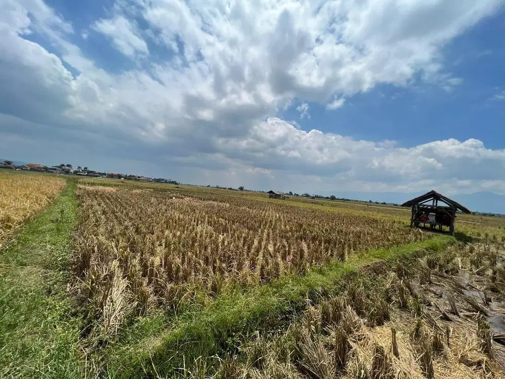 DIJUAL SAWAH 700 m2