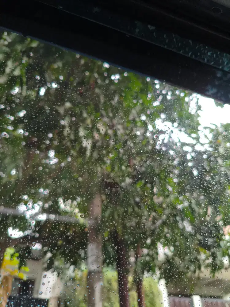 ART PP diutamakan pengalaman