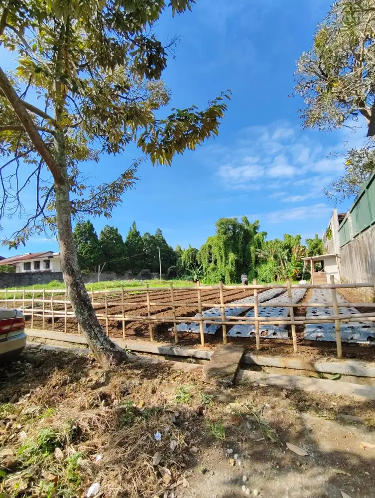 Dijual Kavling Strategis di Sayap Setiabudi Bandung