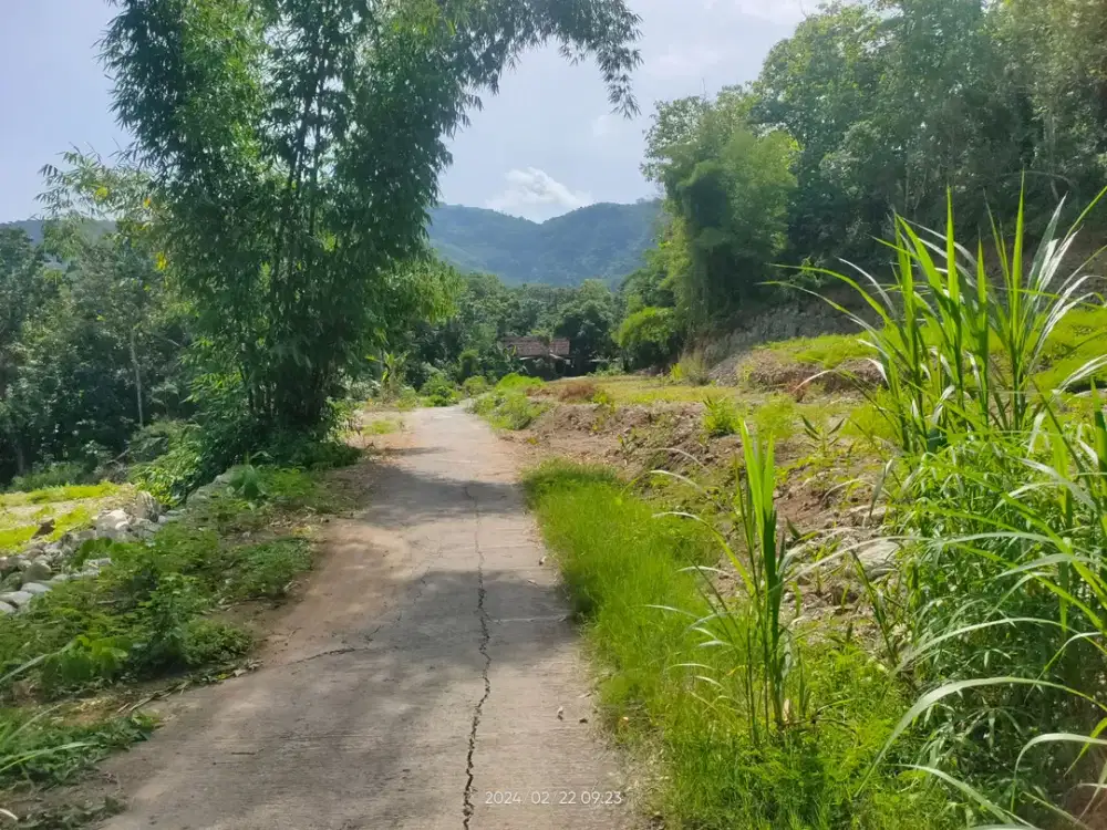 Lahan Cocok untuk Bangun Villa Nuansa Alam