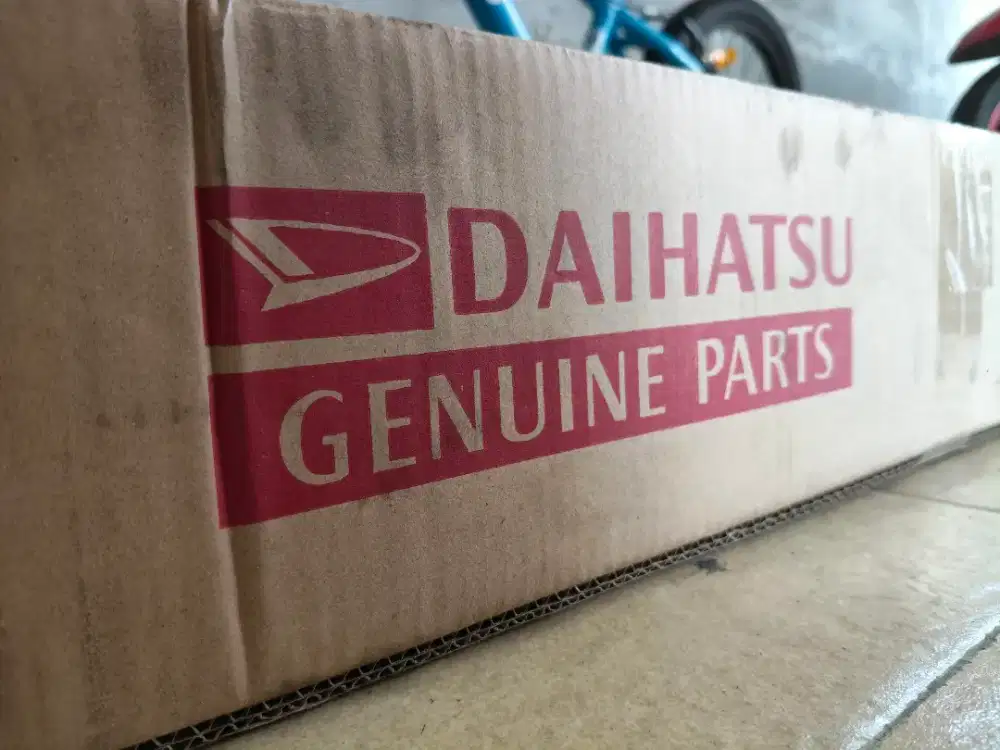 Racksteer Ayla Copotan