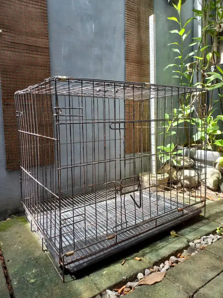 Kandang Kucing Jumbo Besi Tebal