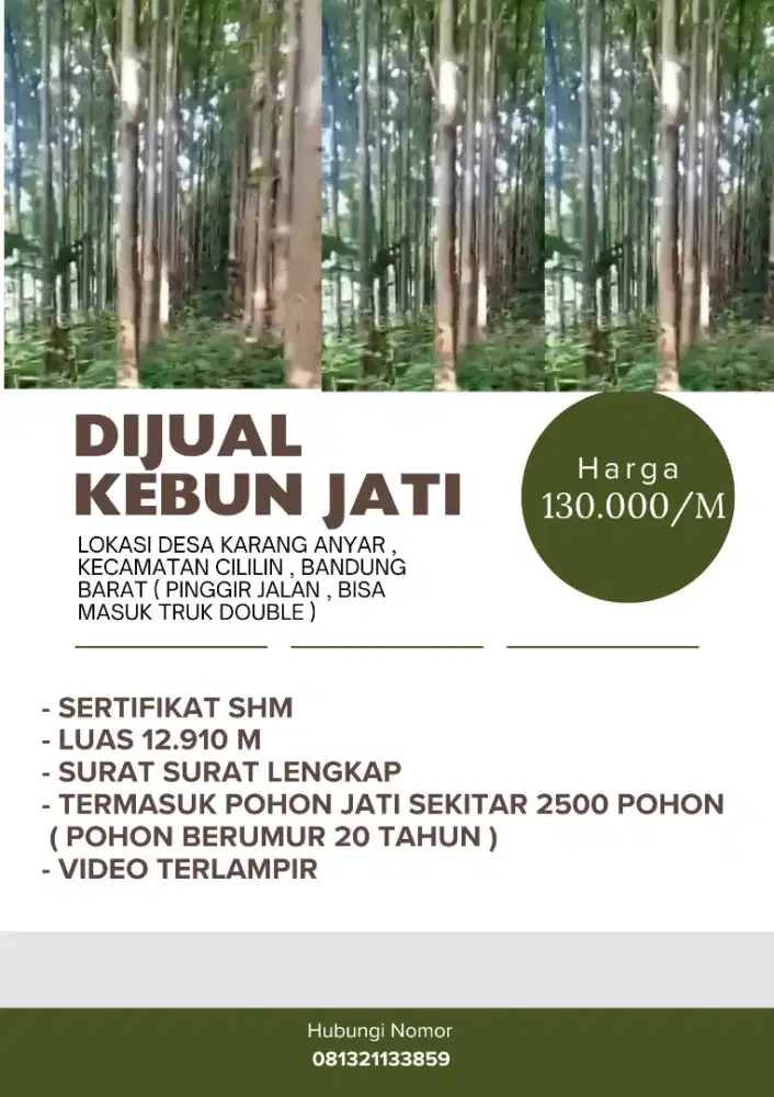 DIJUAL CEPAT KEBUN JATI !!! Bisa nego